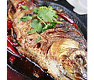釣魚(yú)誘食劑-魚(yú)腥香精